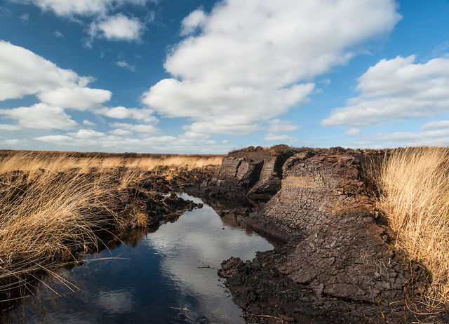 An Irish peat bog