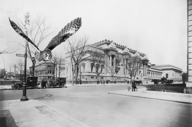 Long Eared Owl: Refuse Container Outside the Metropolitan Museum